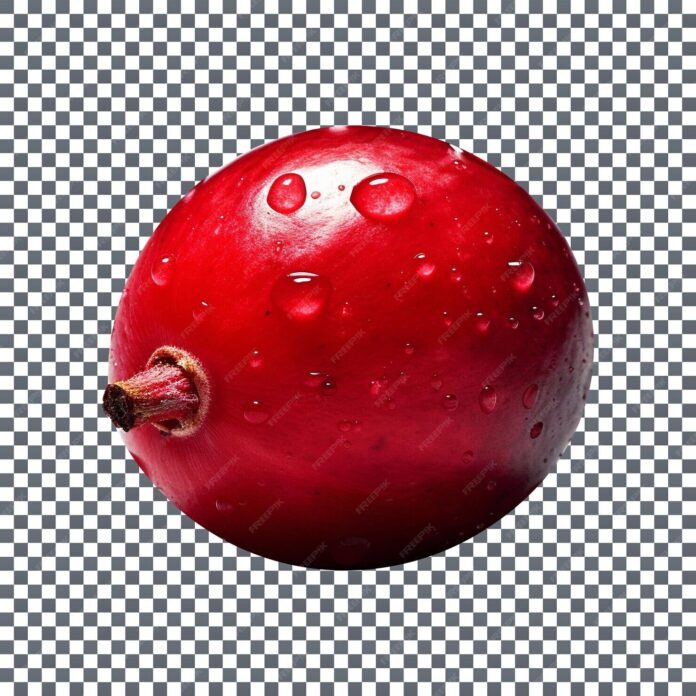 fresh-single-cranberry-with-stems-isolated-transparent-background_927015-2359